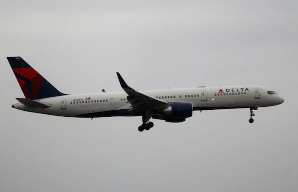 Another Dog Dies on Delta During Layover