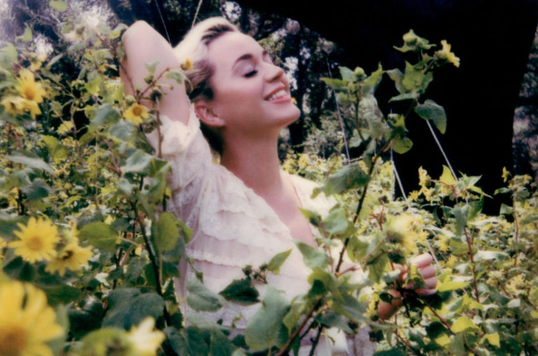 Katy Perrys Digital Flower Shop Katys Daisies Is in Full Bloom