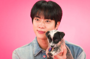 Jin Says Hed Love to Collab With Bruno Mars in Puppy Interview