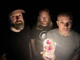 Orchid in the Ivy looks to catch fire with remix of their punk-rock cover of Burning Beds